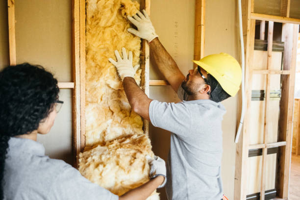 Best Insulation Air Sealing  in Bath, MI