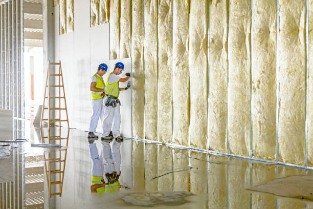 Best Insulation for New Construction  in Bath, MI